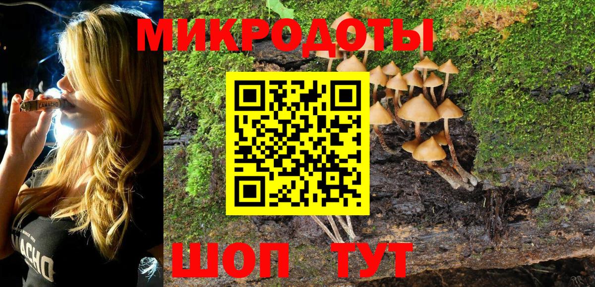 Галлюциногенные грибы Cubensis Кудымкар