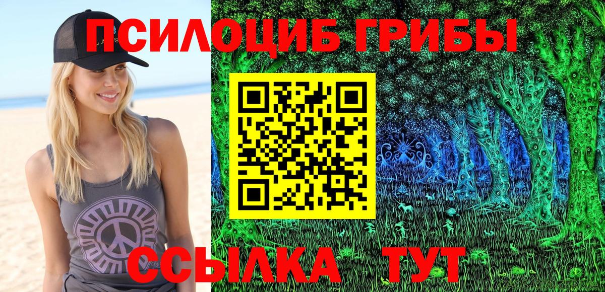 Кудымкар  Псилоцибиновые грибы MAGIC MUSHROOMS  Вход с VPN  Псилоцибиновые грибы ЛСД 